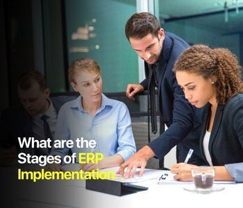 2023 ERP Life Cycle 2023 ERP Life Cycle