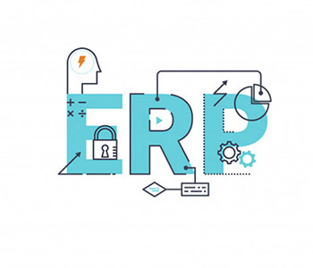 ERP-category ERP-category