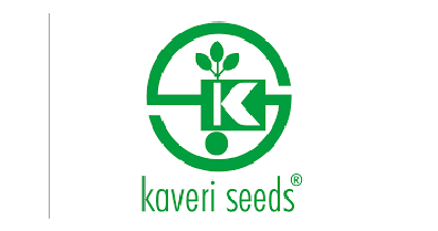 our clients