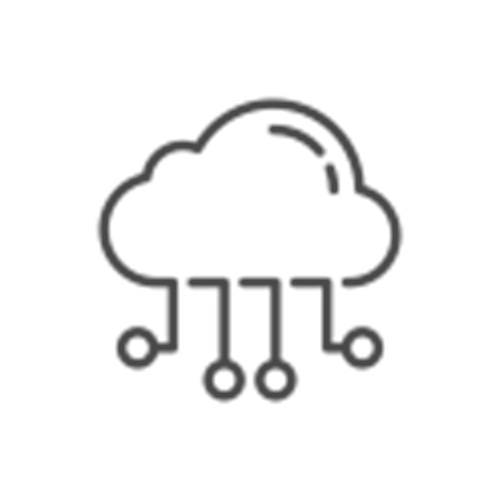 On-Premise or Cloud ERP Focus Softnet