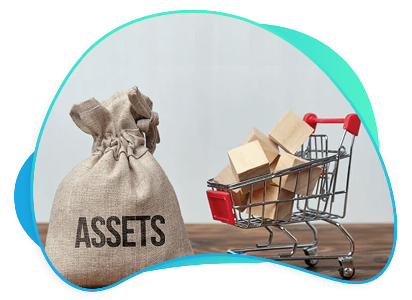 Fixed assets Module Fixed assets Module