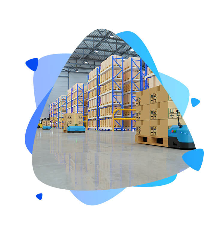 Supply chain Focus Softnet